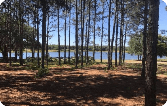 vacation home with lake access and boating near Disney and Universal